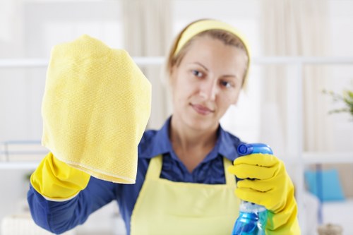 Brompton Cleaner service terms introduction