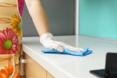 Worker welfare and ethical sourcing concept for Brompton Cleaner