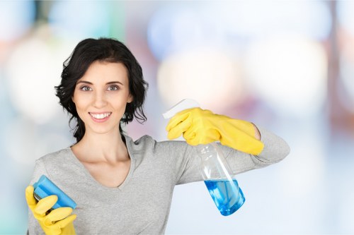 Professional cleaner inspecting equipment before use in a safe environment