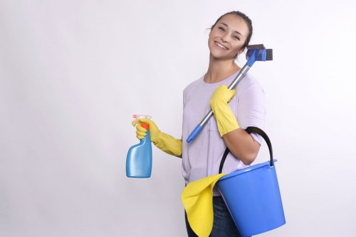 Upholstery cleaning equipment used on a lounge suite in Brompton