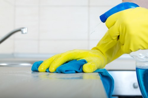 Cleaning products and tools arranged safely for use during a cleaning task