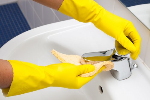 Hot water extraction carpet cleaning service in Brompton